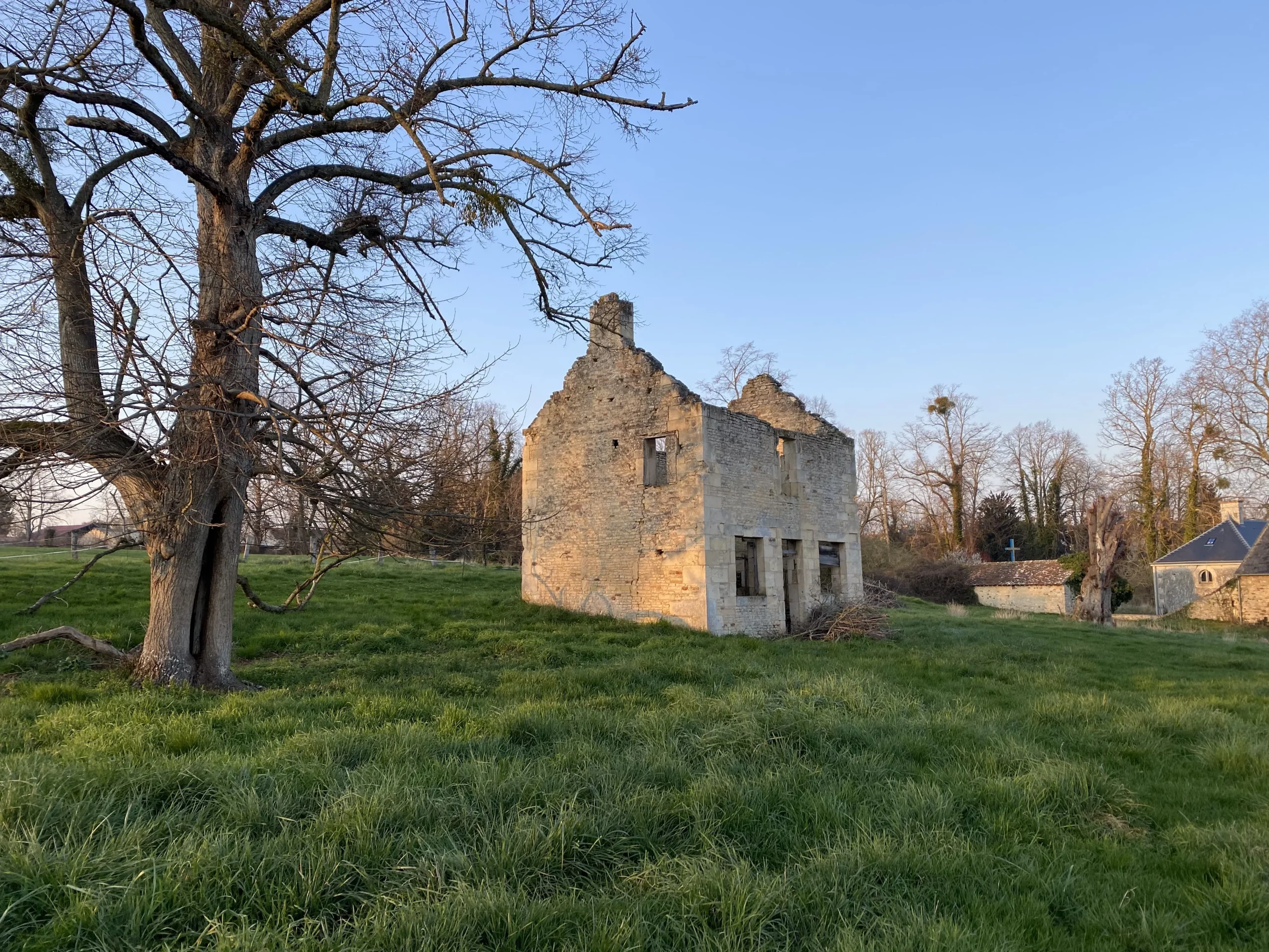 La maison de Ouilly-le-Tesson avant les travaux